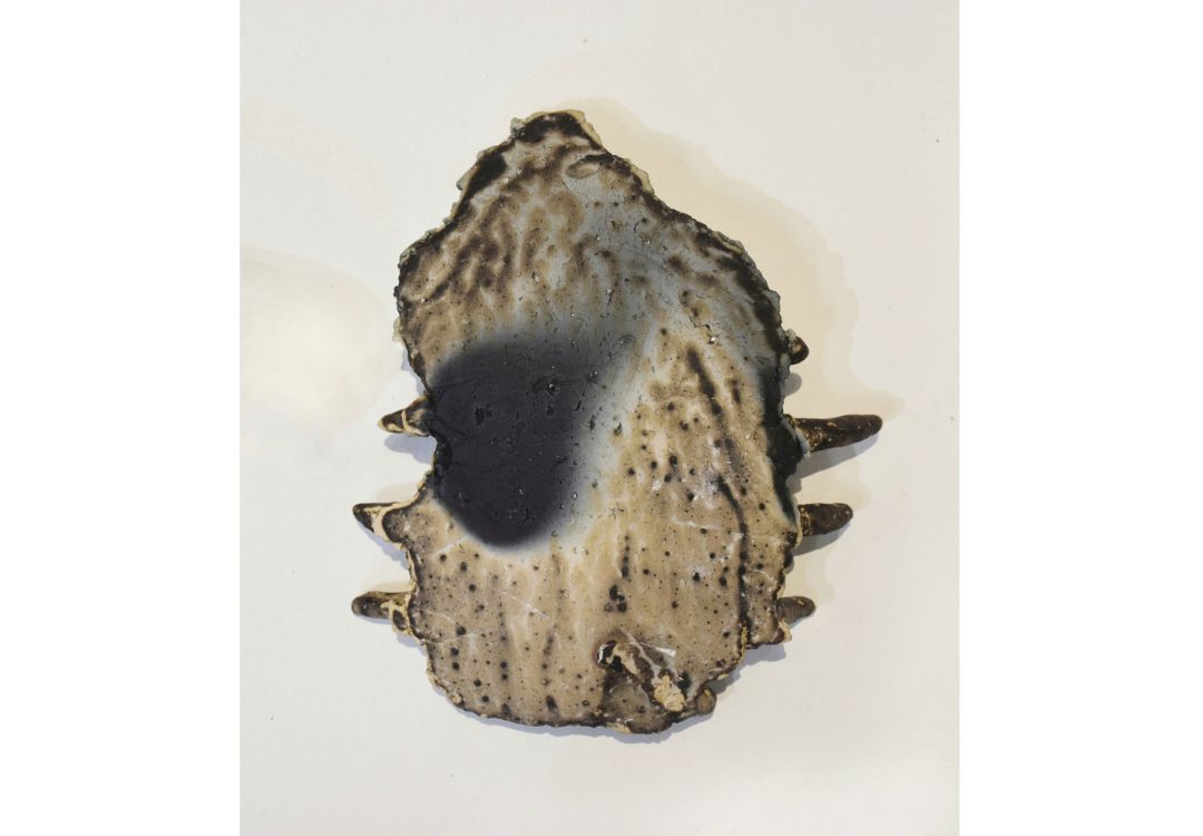 An Archive of flesh (series) , 2025